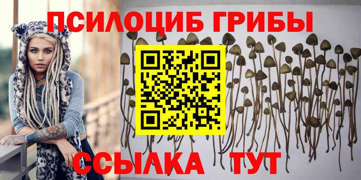 Миасс  Псилоцибиновые грибы MAGIC MUSHROOMS  Вход с VPN 